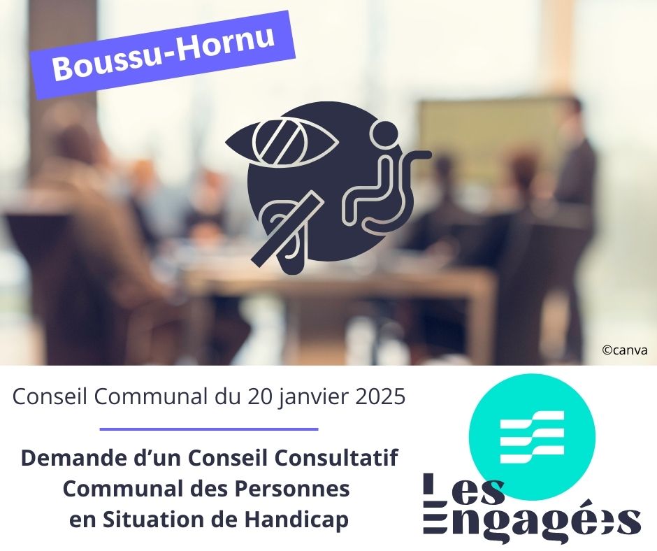 Point handicap - conseil communal du 20 janvier 2025